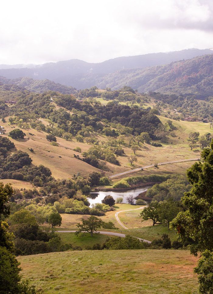 Rolling green hills and a winding road through a valley